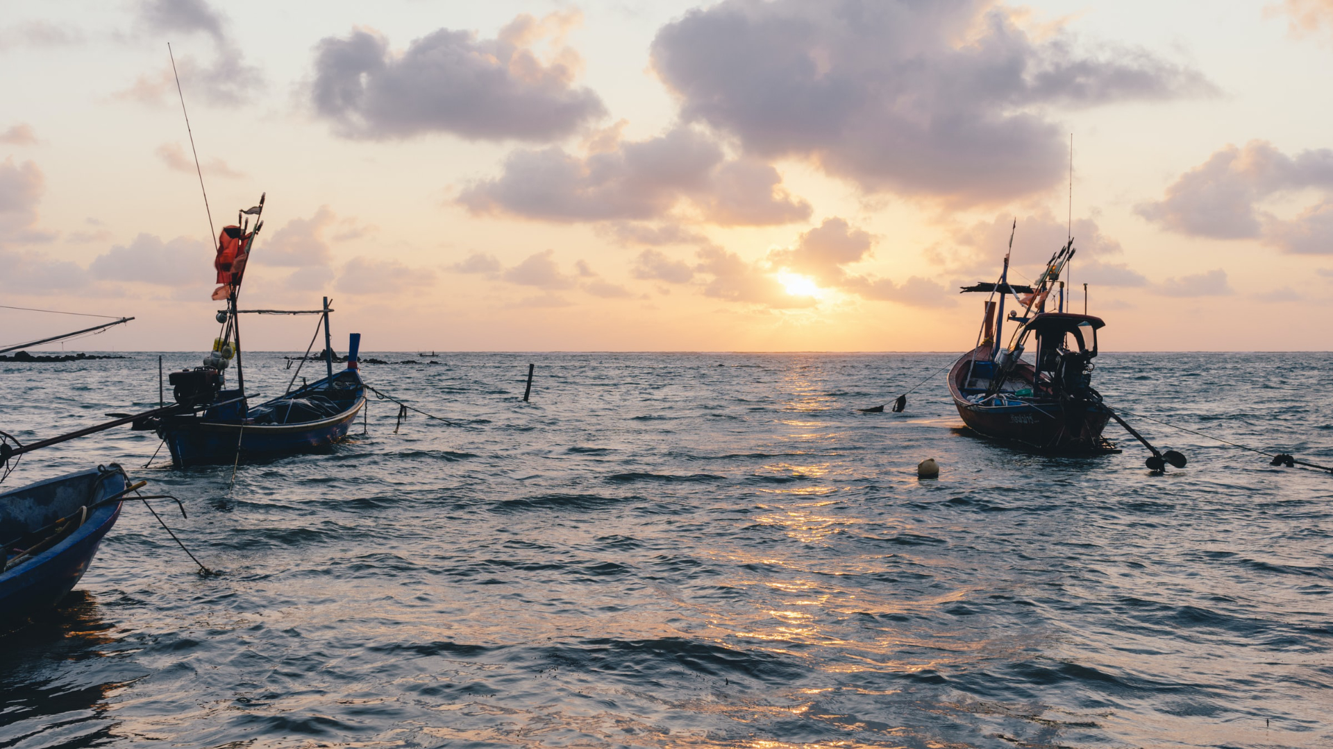 Fishing boats